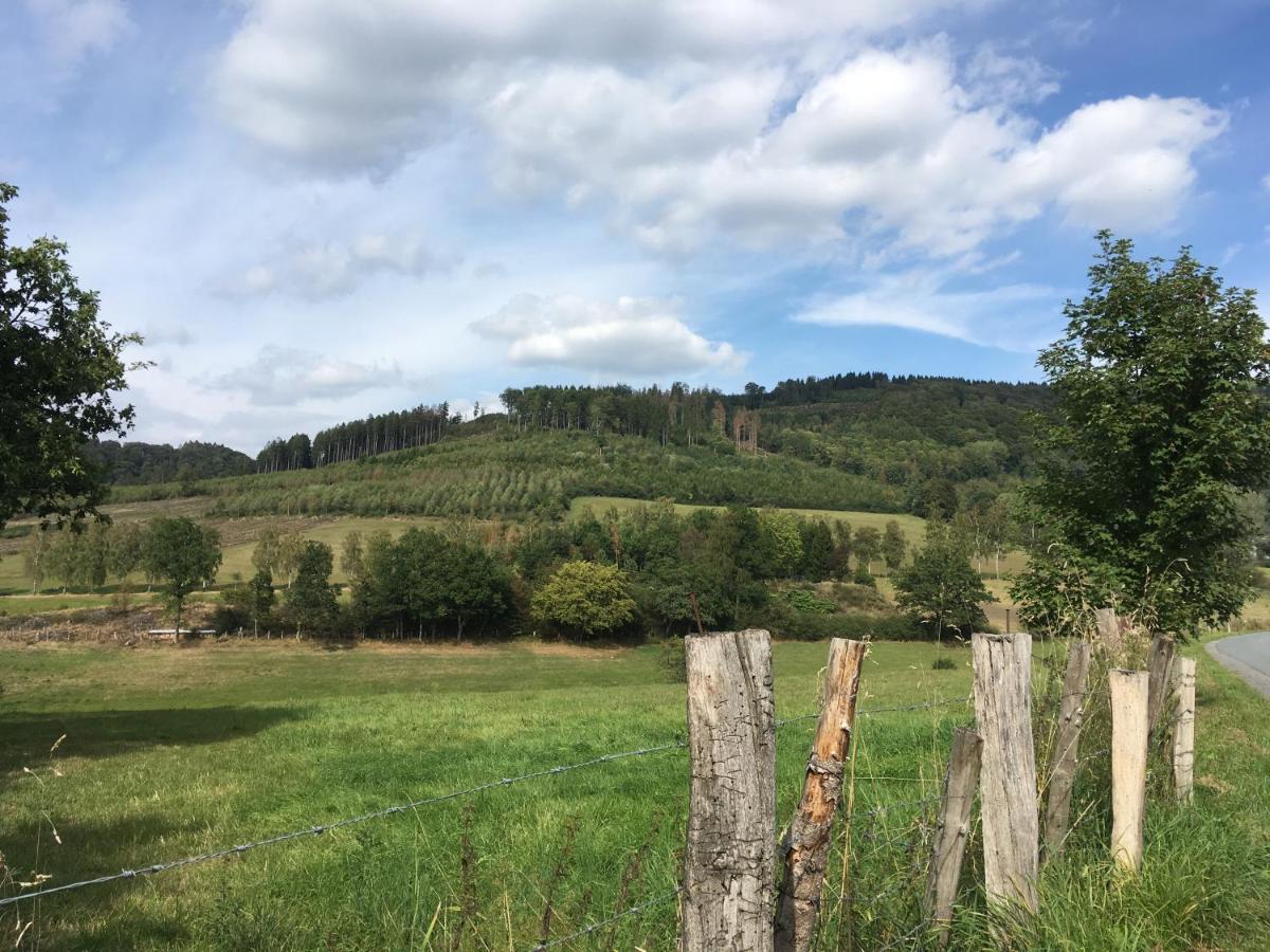 Ferienwohnung Am Pieperknapp In Olsberg Kültér fotó
