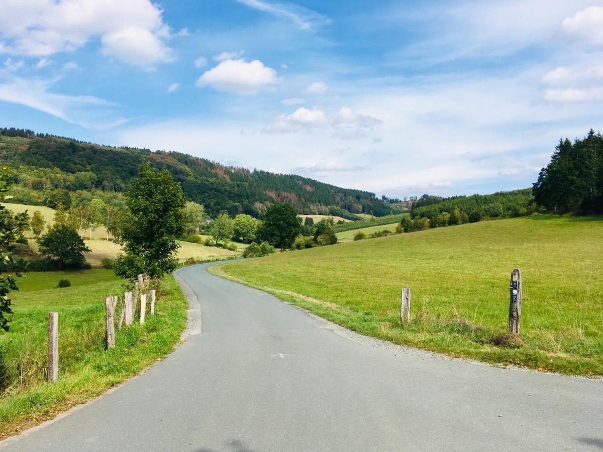 Ferienwohnung Am Pieperknapp In Olsberg Kültér fotó